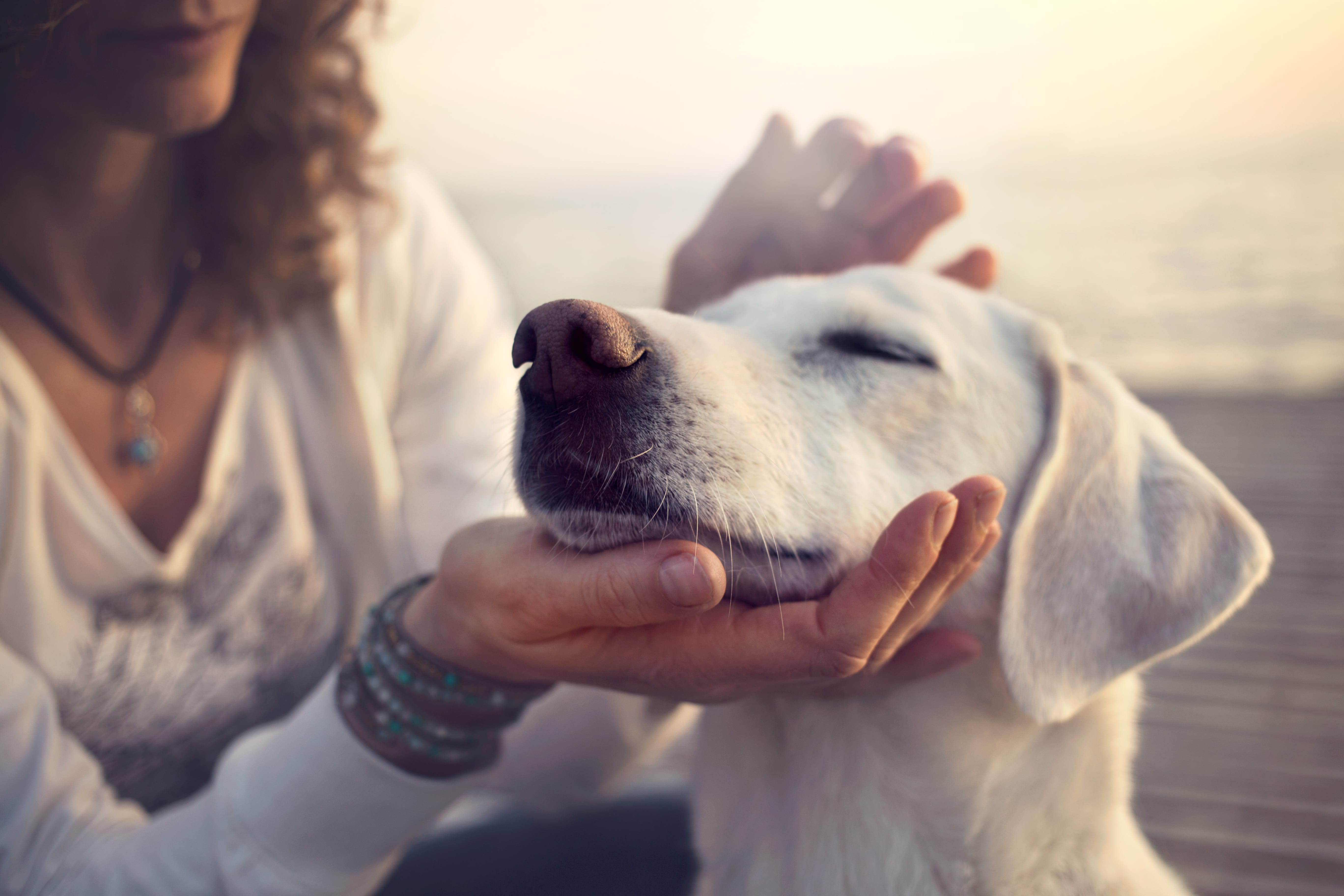 A woman caresses her dog on a beach after she hears that a recent study shows adopting a pet can reduce symptoms of depression