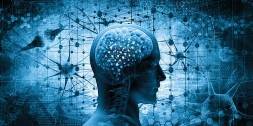 shutterstock_615839501 brain image makes person wonder how does thc affect your brain