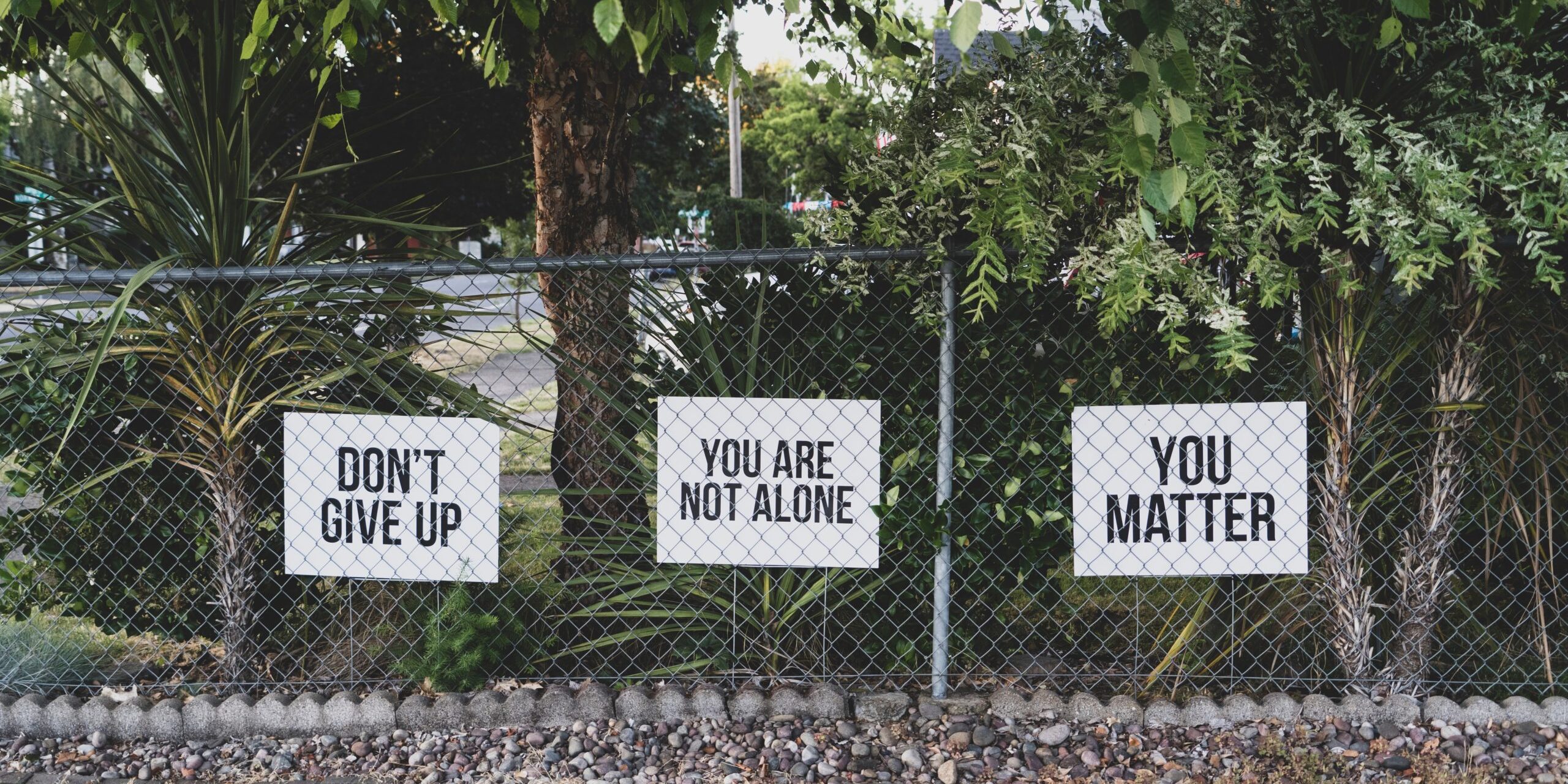 dan-meyers-hluOJZjLVXc-unsplash